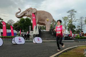 BIB: 
                            <button type="button" onclick="openModal(26528494)" class="btn btn-primary btn-sm float-right btn-popup" data-toggle="modal" data-target=".modal-high-quality">
                        <i class="fas fa-shopping-cart"></i> Add to Cart
                    </button>
                                            <button type="button" onclick="isThisMe(26528494, true)" class="btn btn-success btn-sm float-right btn-popup btn-isme hidden" data-toggle="tooltip" data-placement="bottom" title="นี่คือรูปของคุณใช่ไหม คลิกที่นี่เพื่อเอาเข้าอัลบั้ม">
                        <i class="fas fa-plus"></i> Add to album
                    </button>
                    <button type="button" onclick="isThisMe(26528494, false)" class="btn btn-warning btn-sm float-right btn-popup btn-isnotme hidden">
                        <i class="fas fa-ban"></i> Remove from album
                    </button>